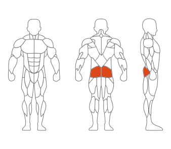 LS-016大腿伸展练习器 LS-016大腿伸展练习器